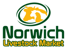 Norwich Livestock Market